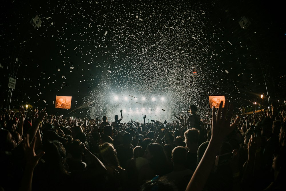 Festival crowd night
